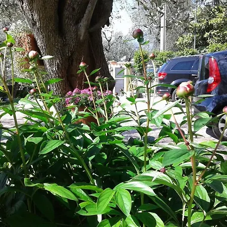 Casa Nina, Lago,montagne, Uliveti Hébergement de vacances Brenzone